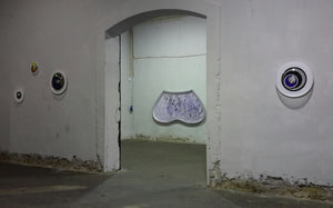 PI Immagine 5